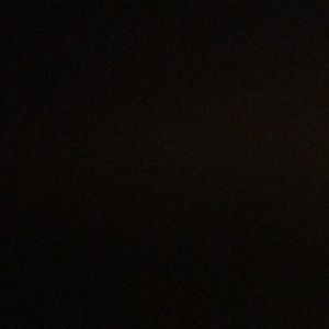 Meet your Posher, Carter